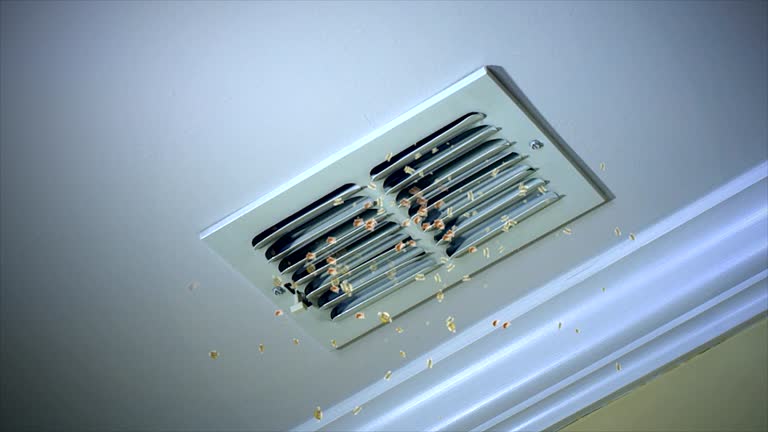 Best Best Air Duct Cleaning Company  in Tioga, TX
