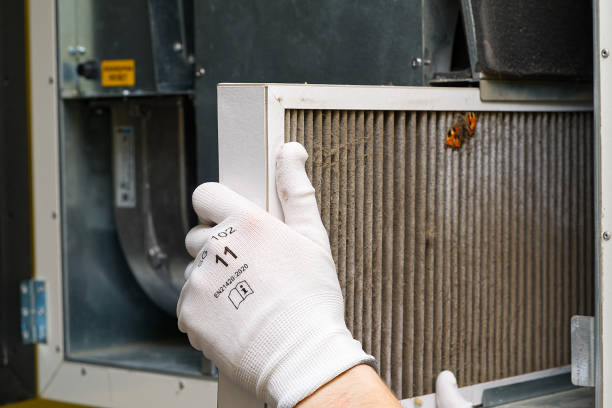 Best Affordable Duct Cleaning Services  in Tioga, TX